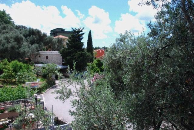 Milan'S Apartments Sveti Stefan Δωμάτιο φωτογραφία