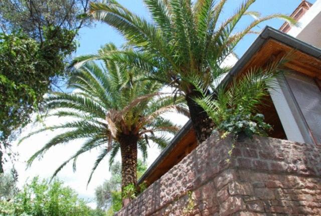 Milan'S Apartments Sveti Stefan Εξωτερικό φωτογραφία